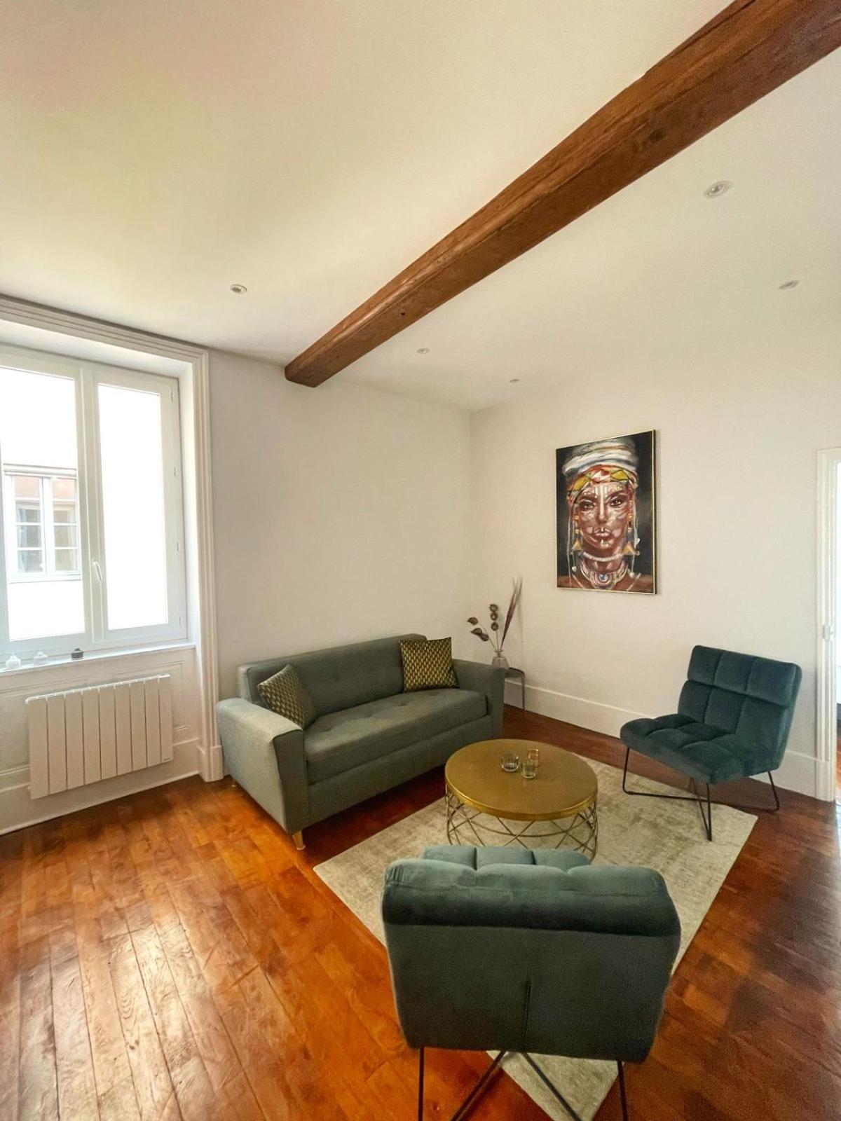 Center Macon Charmant Appartement Avec Vue Sur La Saone Zewnętrze zdjęcie