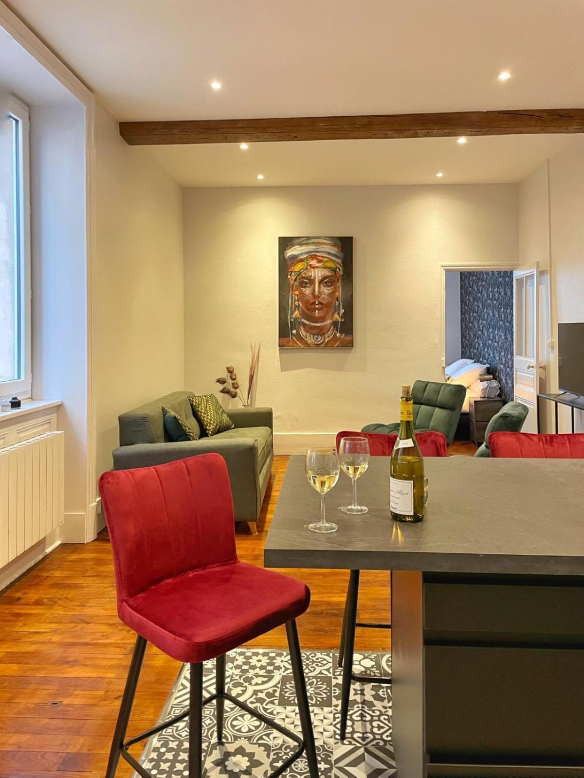 Center Macon Charmant Appartement Avec Vue Sur La Saone Zewnętrze zdjęcie